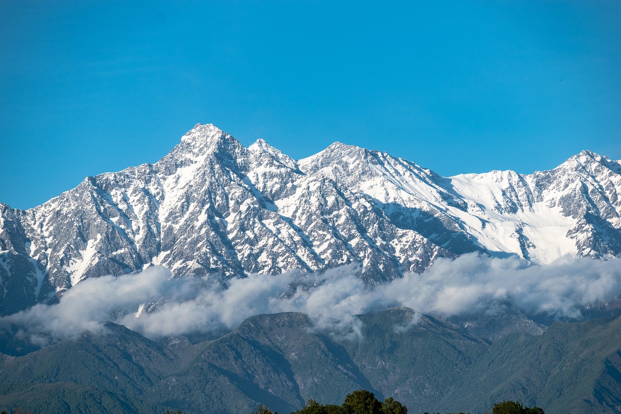 Beginner Manipur Lottery: Complete 2026 Guide for Indian Players